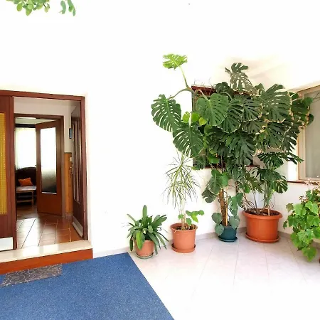 Slavko 525 Apartment